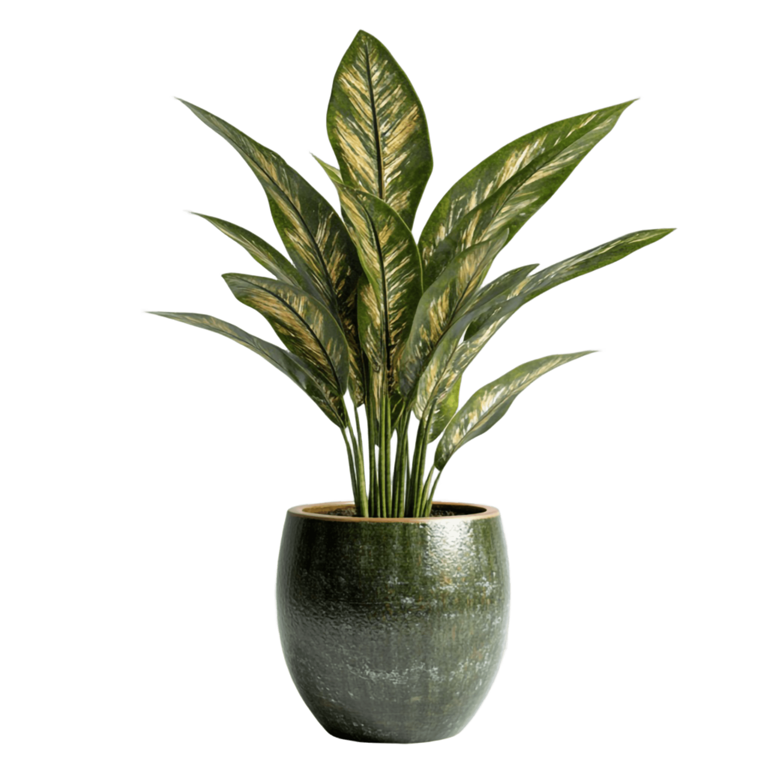 plant 7